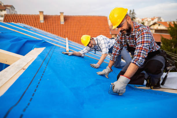 Roof Gutter Cleaning in South Miami Heights, FL