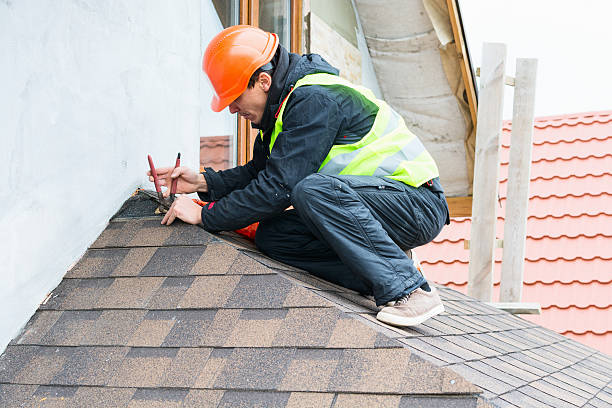 Best Roof Gutter Cleaning  in South Miami Heights, FL